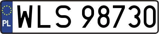 WLS98730