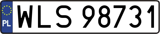 WLS98731