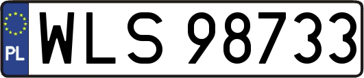 WLS98733