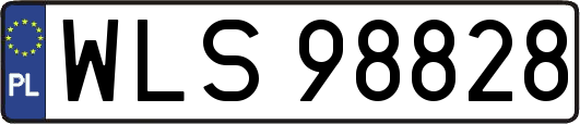 WLS98828