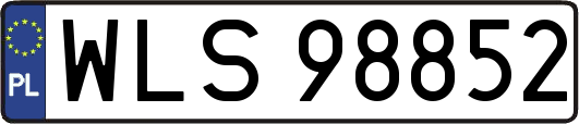 WLS98852