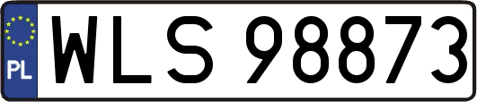 WLS98873