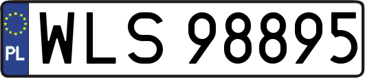 WLS98895