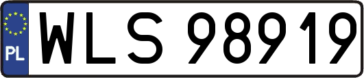 WLS98919