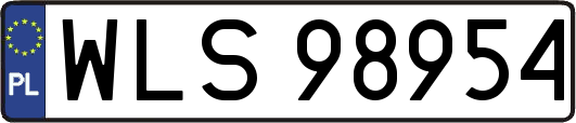 WLS98954