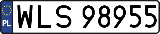 WLS98955