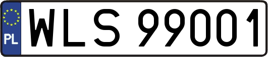 WLS99001
