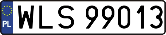 WLS99013