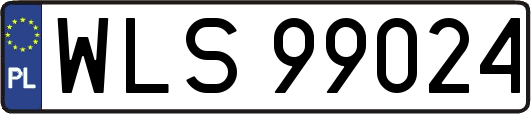 WLS99024
