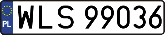 WLS99036