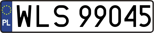 WLS99045