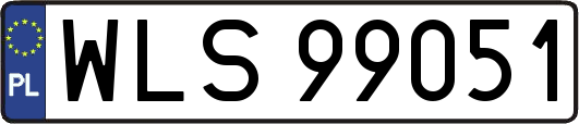WLS99051