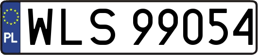 WLS99054