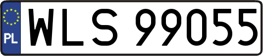 WLS99055