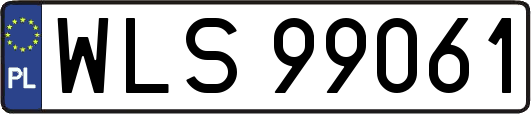 WLS99061