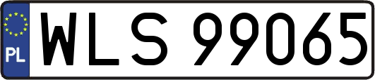 WLS99065