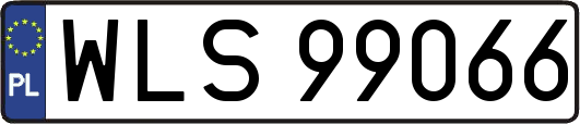 WLS99066