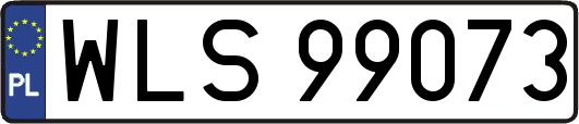 WLS99073