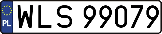 WLS99079