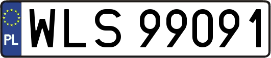 WLS99091