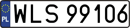 WLS99106