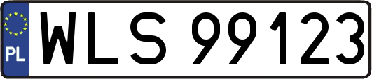 WLS99123