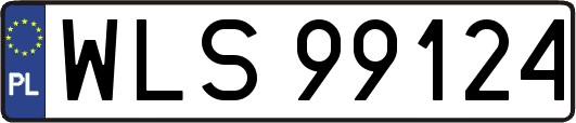 WLS99124