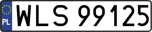 WLS99125