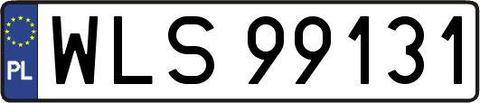 WLS99131
