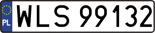 WLS99132