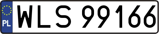 WLS99166