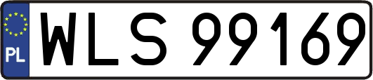 WLS99169