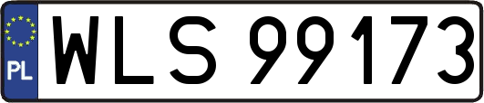 WLS99173