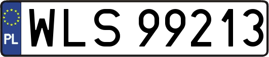 WLS99213