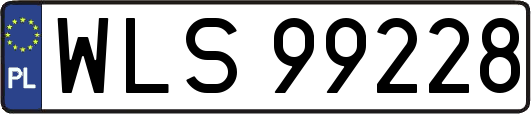 WLS99228
