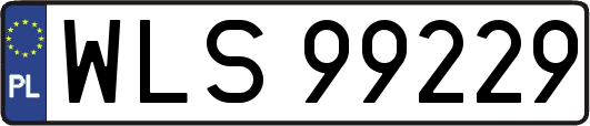 WLS99229