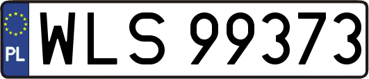 WLS99373