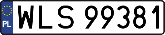 WLS99381