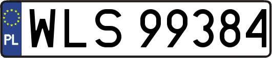 WLS99384