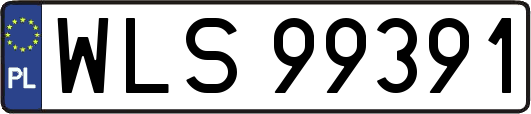 WLS99391