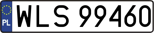 WLS99460