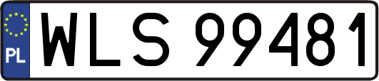 WLS99481