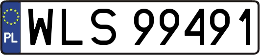 WLS99491