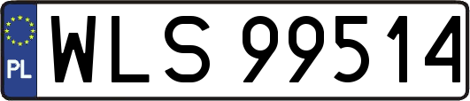 WLS99514