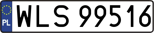 WLS99516