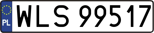 WLS99517