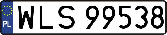 WLS99538