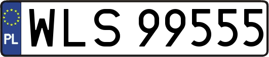 WLS99555