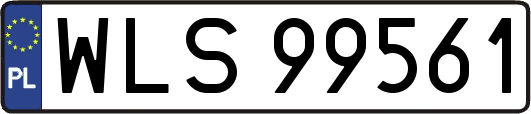 WLS99561
