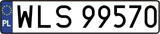 WLS99570